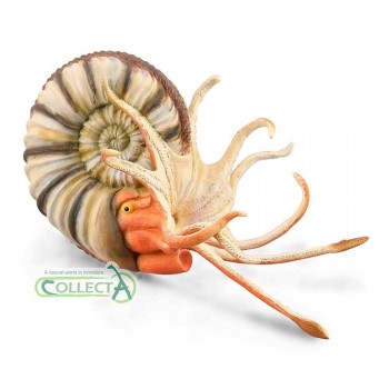 ANIMAL COLLECTA PLEUROCERAS AMOMONITE XL 88902