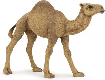 ANIMAL PAPO DROMEDARIO 50151