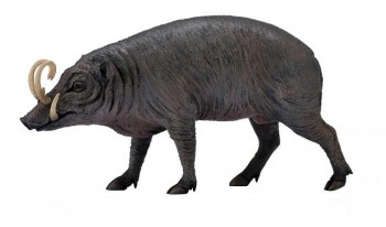 ANIMAL COLLECTA BABIRUSA 90188727