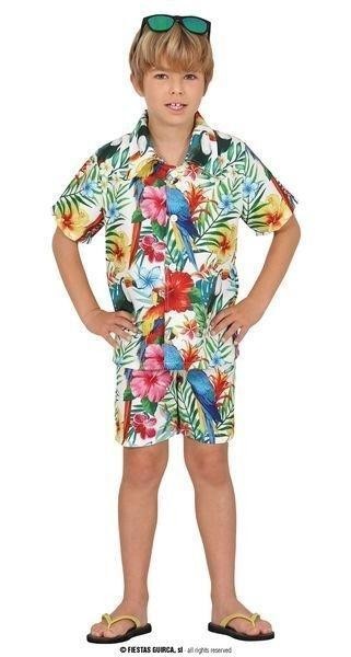 DISFRAZ HAWAI TROPICAL INFANTIL CHICO GUIRCA 78428