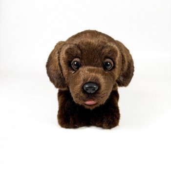 PELUCHE PERRO LABRADOR CHOCOLATE TUMBADO 25 CM BOCALAN