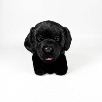 PELUCHE PERRO LABRADOR NEGRO TUMBADO 25 CM BOCALAN
