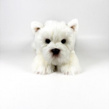 PELUCHE PERRO TERRIER BLANCO TUMBADO 25 CM BOCALAN